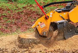 Best Tree Mulching  in Groveland, ID